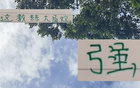 強(qiáng)觀大局！國(guó)安主帥輪換險(xiǎn)致敗，多樣陣容更勝一籌。