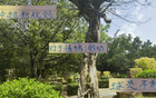 中超新規(guī)不利申花特謝拉，需調(diào)整隊(duì)長(zhǎng)或增吳曦盯人。