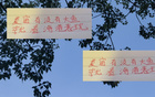 深圳申花等隊引外援國腳，夏窗期待海港大魚。