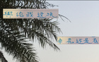 事出反常，申花老謀深算，勝后申訴，輿論戰(zhàn)不簡(jiǎn)單。