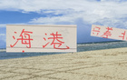 海港投入巨資，17輪后近北京國安，表現(xiàn)良好。