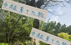 周末申花云南高原賽，阿蘇埃赤道南能否進(jìn)第四球？