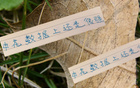 申花領(lǐng)跑榜首，進(jìn)球數(shù)第一，失球倒數(shù)第二少，18輪不敗！