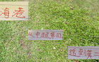 海港近榜首僅差4分，萊昂納多投資值得。