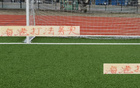 海港務(wù)實(shí)高效，申花攻守失衡。