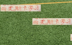 萊奧納多再勝河南，社交發(fā)文如海港8號(hào)奧斯卡。