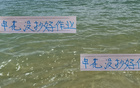 申花未精進(jìn)，海港無慮外援歸國(guó)。