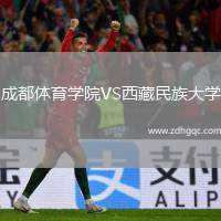 印第安納狂熱VS洛杉磯火花