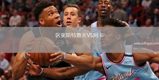 西班牙女籃VS捷克女籃