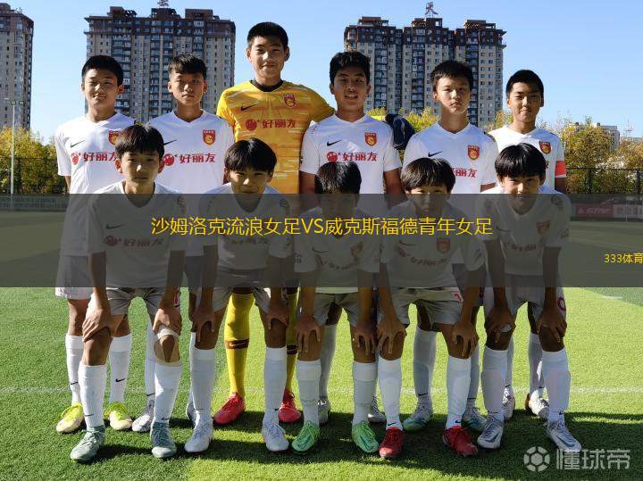 陜西聯(lián)合月亮泊VS廣東廣州豹
