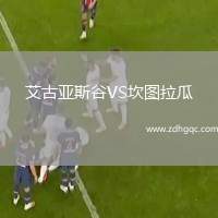 延邊龍鼎可喜安VS廣東廣州豹