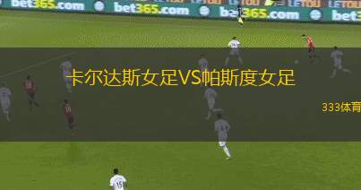 瑞普斯威爾VS巴塞爾