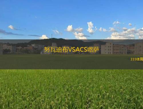 VfR曼海姆VS曼海姆