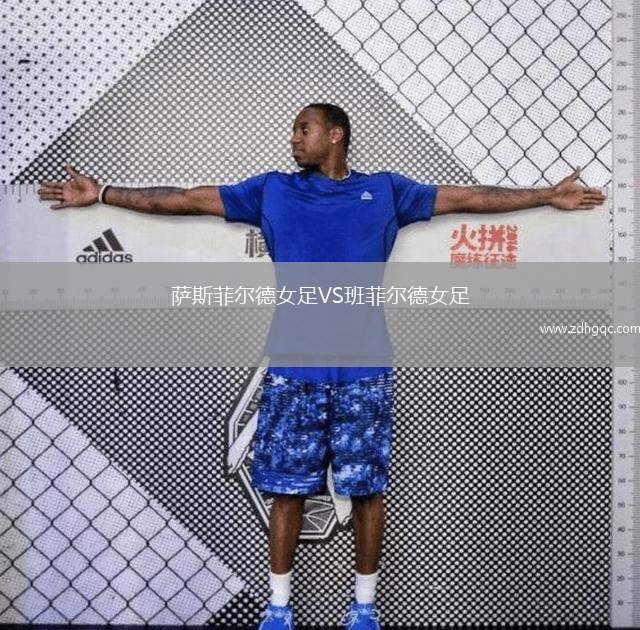 斯圖加特VS塞爾塔