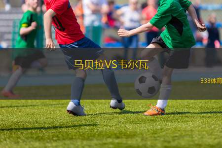 深圳新鵬城VS浙江俱樂部綠城