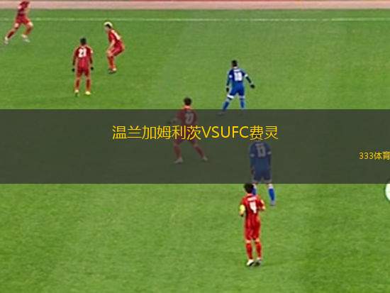 達姆施塔特VS波鴻