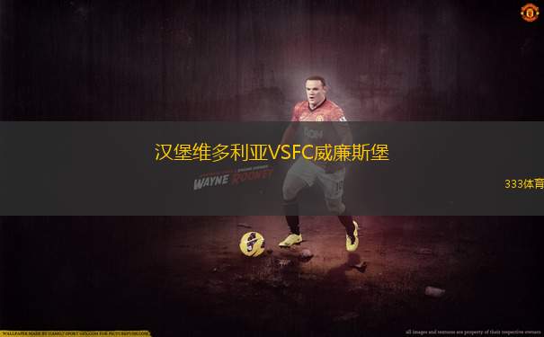 大連英博海發(fā)VS成都蓉城