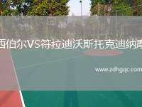 卡迪夫城VS斯文登