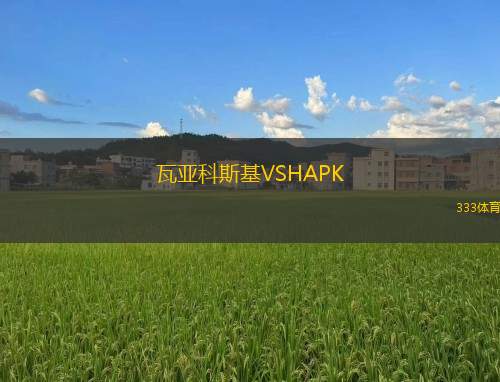 阿斯頓維拉VS紐卡斯爾聯(lián)