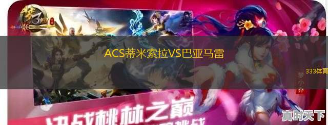 瓦勒海姆聚爾特VS布魯日