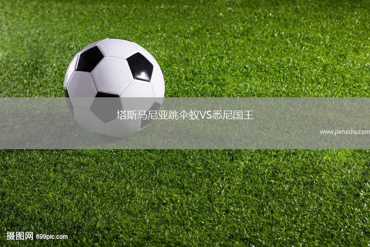 塔斯馬尼亞跳傘蟻VS悉尼國王