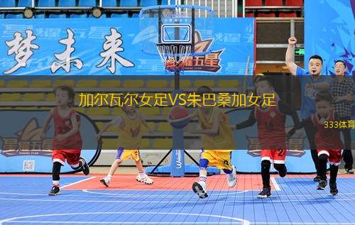 博塔弗戈VS帕爾梅拉斯