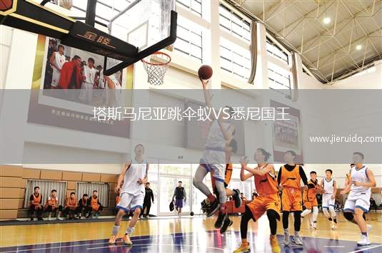 塔斯馬尼亞跳傘蟻VS悉尼國王