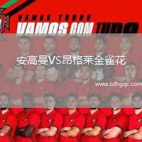 布魯爾VS比爾