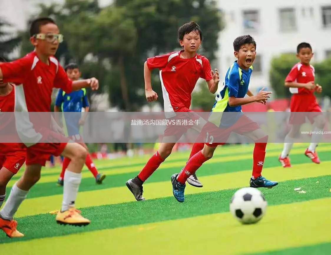 鹽南湯溝國藏VS香港金牛