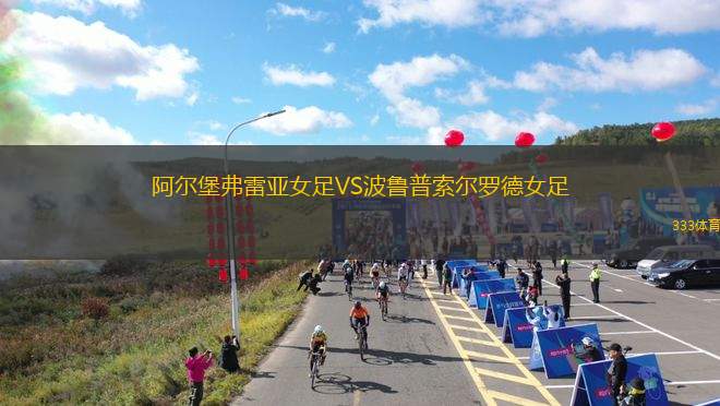 布里斯托爾城VS赫爾城