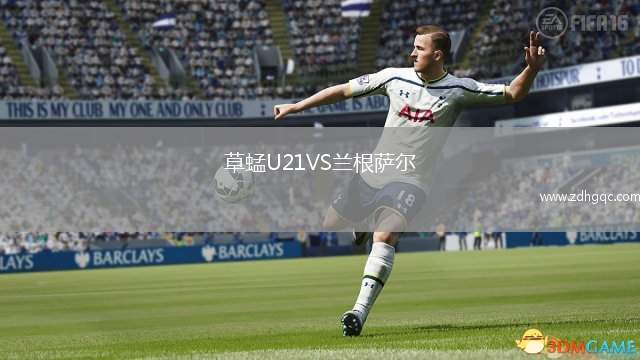 德累斯頓迪納摩VS沙爾克04