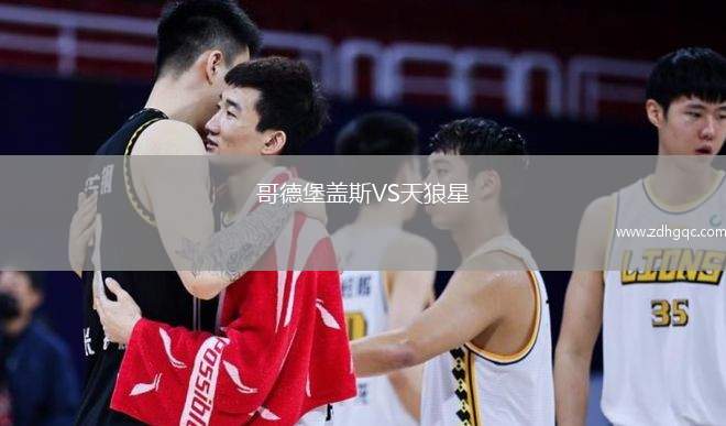 塞爾維特VS盧塞恩