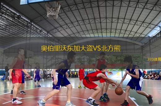 芬蘭VS立陶宛