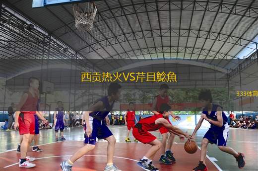 立陶宛VS瑞典